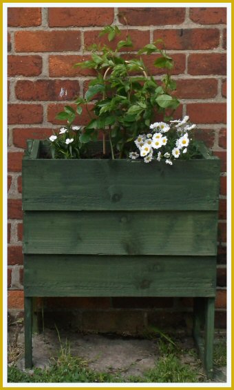Small flower box